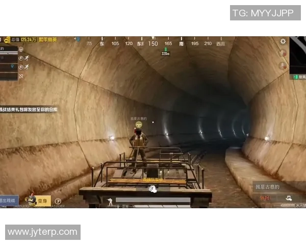 专访和平精英制作人吴娜揭秘游戏成功背后的秘密与策略