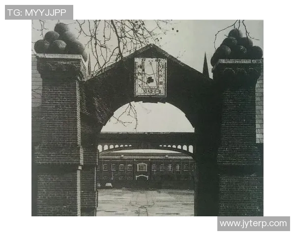 南京足球队的崛起之路：从默默无闻到冠军赛的辉煌历程